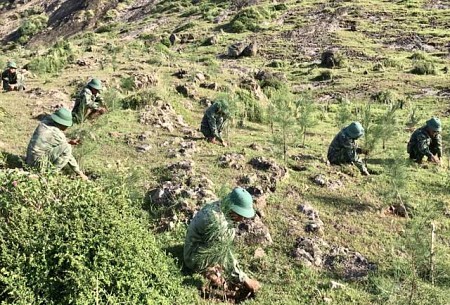 Bộ đội khoét đá để phủ xanh cho núi trên đảo Lý Sơn