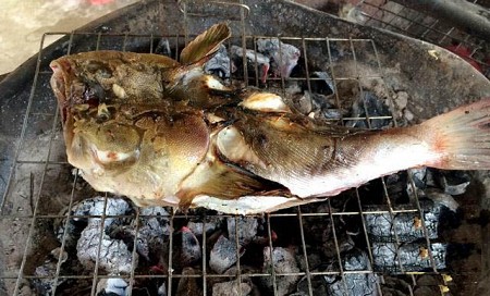 Cá bồng bồng đặc sản xứ Quảng
