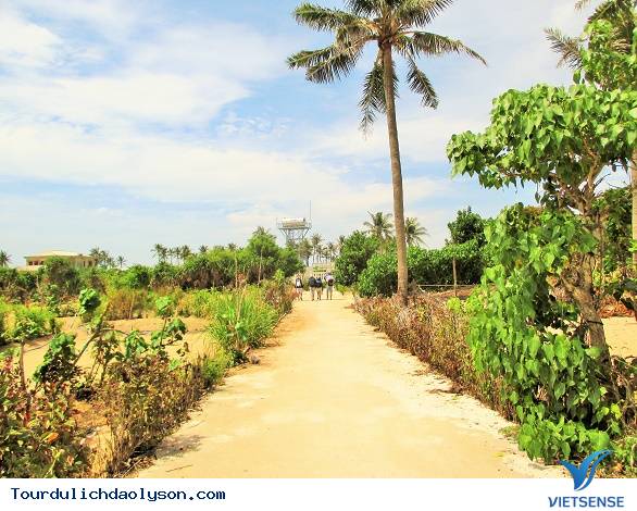 duongtoidaobe-daolyson duongtoidaobe-daolyson