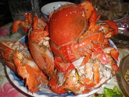 Cua Huỳnh Đế, Gỏi Tỏi, Ốc xà Cừ, cá tà Ma Đặc sản nổi tiếng - Đảo Lý Sơn - Ảnh 2