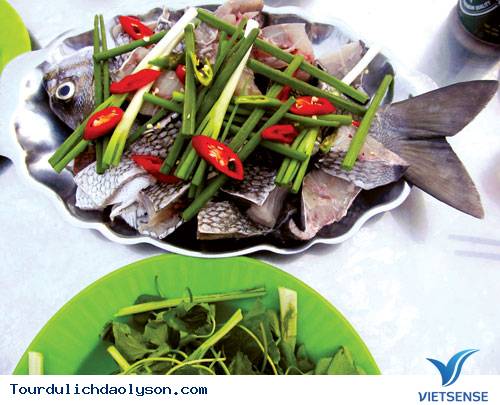 Cá Tà Ma Đảo Lý Sơn