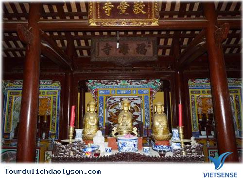 tourdu-lichdaolyson-tham-quandinhlanganhai