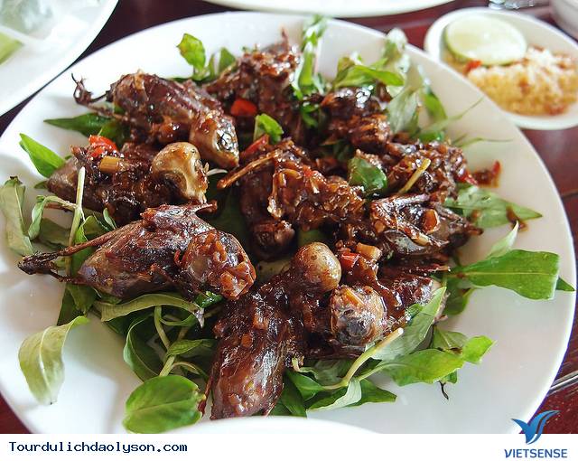 dulichdaolyson-thuongthucchimmiadacsac dulichdaolyson-thuongthucchimmiadacsac