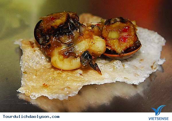 Ốc xà cừ đặc sản đảo Lý Sơn - Ảnh 3 Ốc xà cừ đặc sản đảo Lý Sơn - Ảnh 3