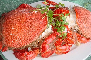 Cua Huỳnh Đế, Gỏi Tỏi, Ốc xà Cừ, cá tà Ma Đặc sản nổi tiếng - Đảo Lý Sơn Cua Huỳnh Đế, Gỏi Tỏi, Ốc xà Cừ, cá tà Ma Đặc sản nổi tiếng - Đảo Lý Sơn