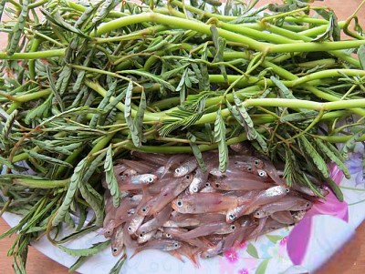 Cá man man đặc sản mùa hè xứ Quảng Cá man man đặc sản mùa hè xứ Quảng
