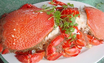 Cua Huỳnh Đế, Gỏi Tỏi, Ốc xà Cừ, cá tà Ma Đặc sản nổi tiếng Cua Huỳnh Đế, Gỏi Tỏi, Ốc xà Cừ, cá tà Ma Đặc sản nổi tiếng