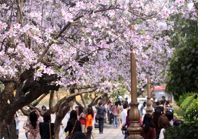 Những điểm đến tuyệt đẹp không thể bỏ qua trong tháng 3 ở Việt Nam Những điểm đến tuyệt đẹp không thể bỏ qua trong tháng 3 ở Việt Nam
