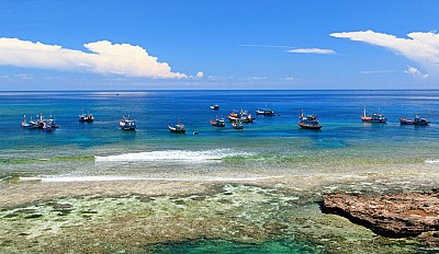 Những điều cần biết khi đi du lịch đảo Lý Sơn Những điều cần biết khi đi du lịch đảo Lý Sơn