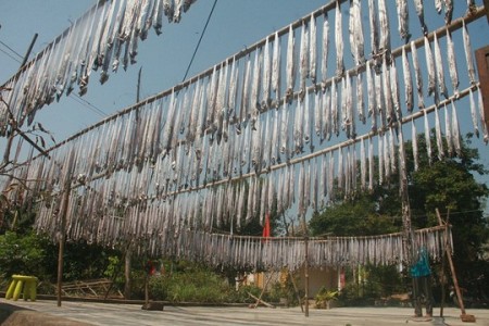 Đậm đà cá hố biển đảo Lý Sơn Đậm đà cá hố biển đảo Lý Sơn