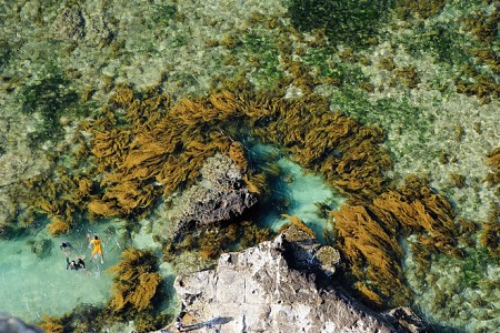 Đảo Lý Sơn cảnh đẹp hút hồn khách thăm quan Đảo Lý Sơn cảnh đẹp hút hồn khách thăm quan