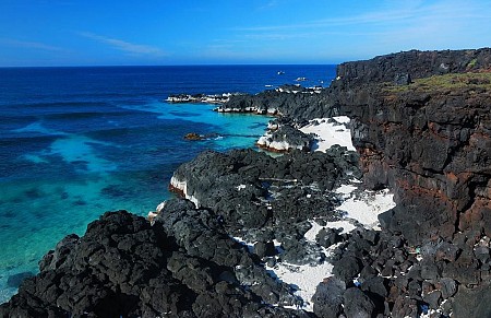 Homestay Island Lý Sơn