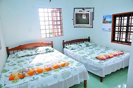 Nhà Hàng - Nhà Nghỉ Hoa Biển - Đảo Lý Sơn