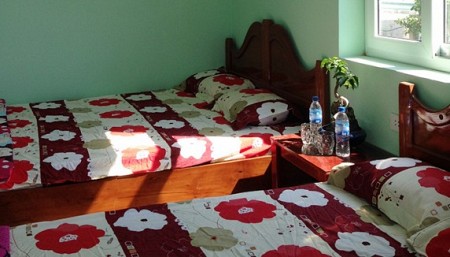 Nhà Nghỉ Lý Trí- Đảo Lý Sơn