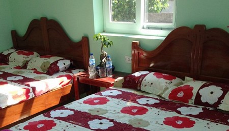 Nhà Nghỉ Lý Trí- Đảo Lý Sơn