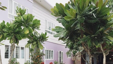 Nhà Nghỉ Thủy Thạch