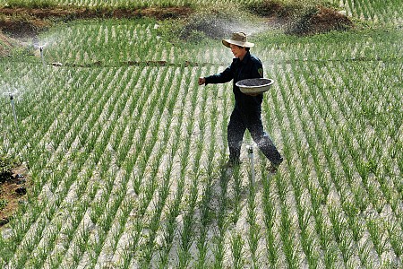 Khởi hành từ Hà Nội 3 Ngày 2 Đêm Hè 2025