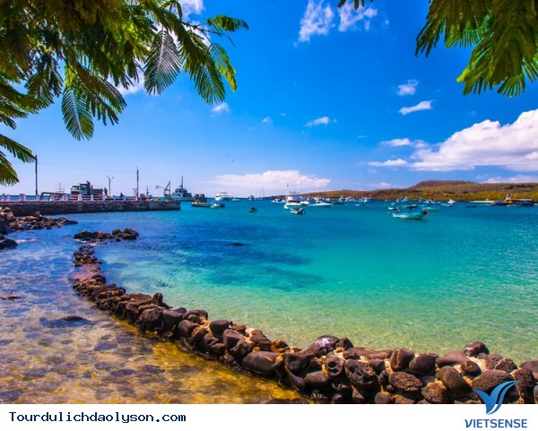 Ngắm thềm chùa đá trên biển đảo Lý Sơn - Ảnh 5