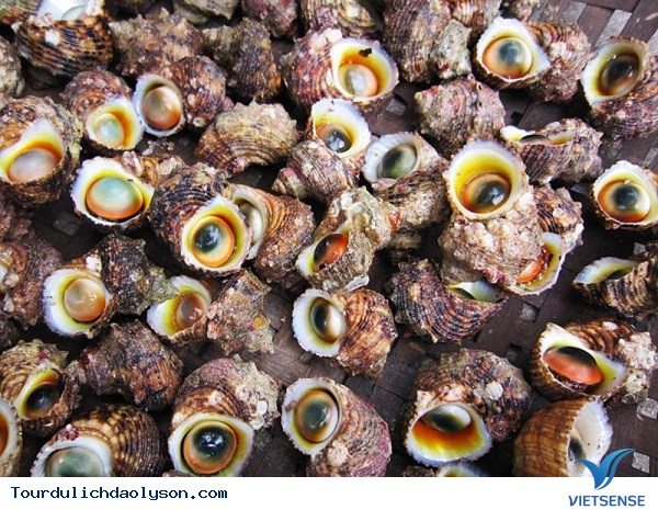 Rộn ràng hành trình ngày hè trên đảo Lý Sơn - Ảnh 3