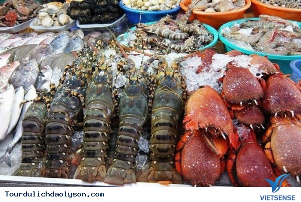 Về đảo Lý Sơn- Quảng Ngãi dự hội - Ảnh 4