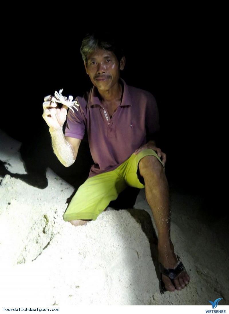 Thú Vị Với Trải Nghiệm Săn Cua, Còng Về Đêm Ở Lý Sơn - Ảnh 2