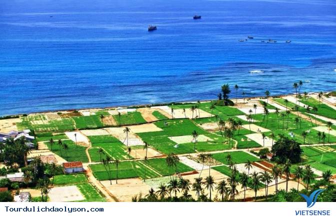 10 điểm đến tuyệt đẹp ở đảo Lý Sơn - Ảnh 2