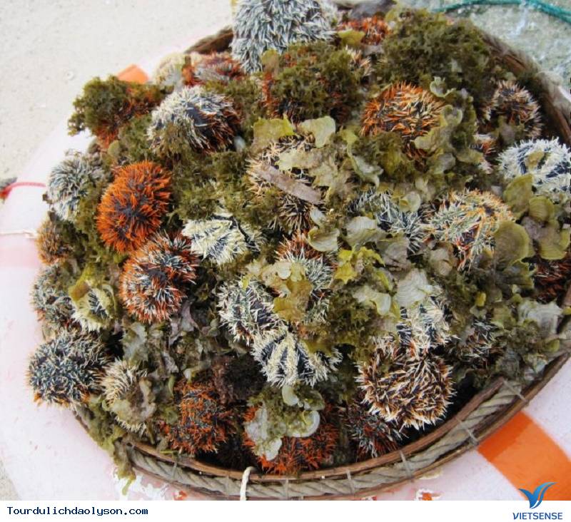 Gỏi rong biển - Ảnh 5