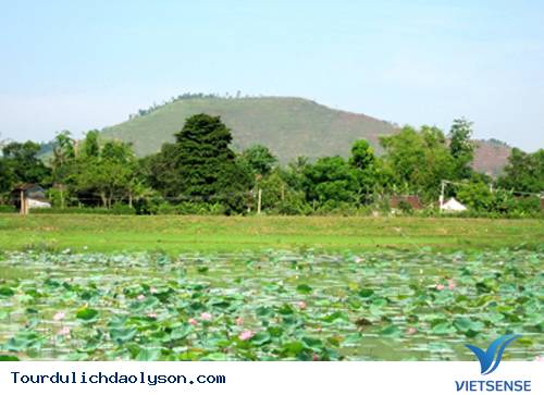 Ao sen trăng tắm- Quảng Ngãi - Ảnh 1 Ao sen trăng tắm- Quảng Ngãi - Ảnh 1