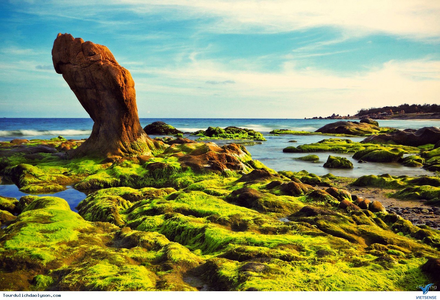 nhungbobien-cogbaida-depnhat-o-vietnam-ban-nen-den