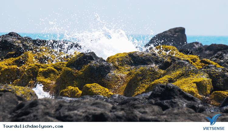 Bãi Rêu đảo Lý Sơn, Quảng Ngãi Bãi Rêu đảo Lý Sơn, Quảng Ngãi