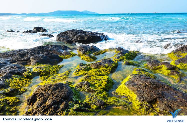 Bãi Rêu Lý Sơn, Quảng Ngãi Bãi Rêu Lý Sơn, Quảng Ngãi