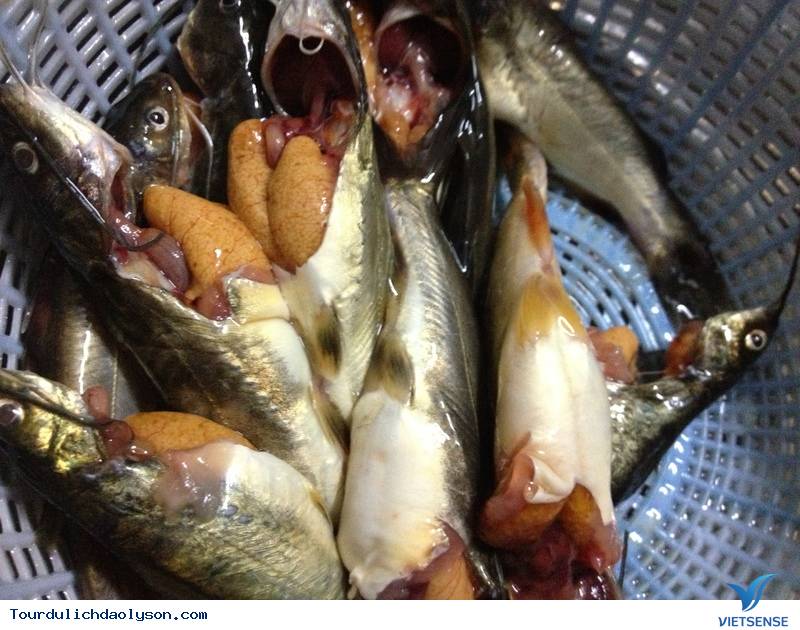 Bến thuyền thơ mộng với mây xanh đảo Lý Sơn - Ảnh 4