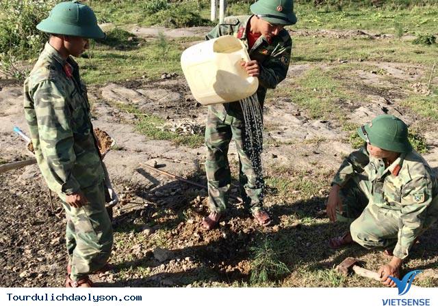 Bộ đội khoét đá để phủ xanh cho núi trên đảo Lý Sơn - Ảnh 2