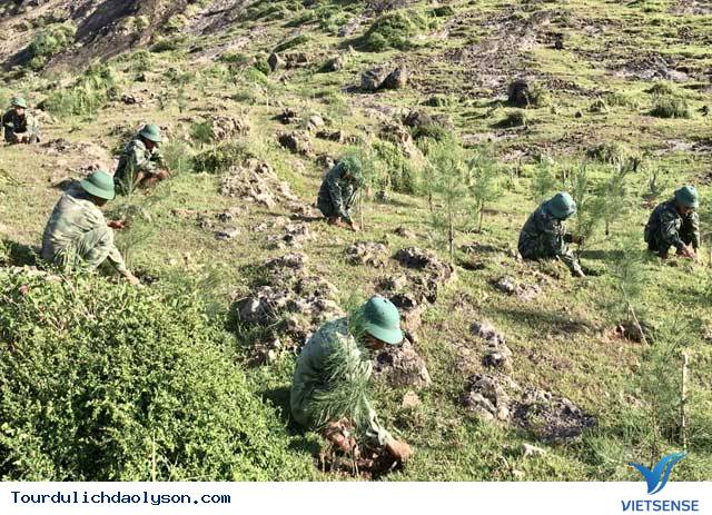 Bộ đội khoét đá để phủ xanh cho núi trên đảo Lý Sơn - Ảnh 3