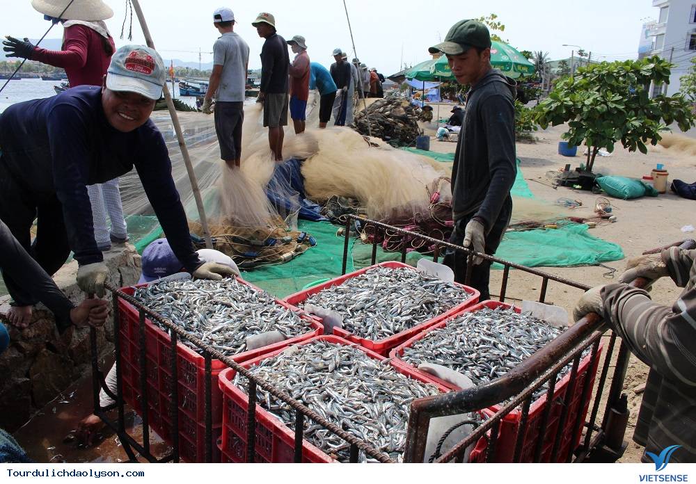 Cá cơm luộc đặc sản Quảng Ngãi - Ảnh 2