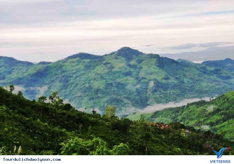 Cà Đam tuyệt tác của đại ngàn - Ảnh 2