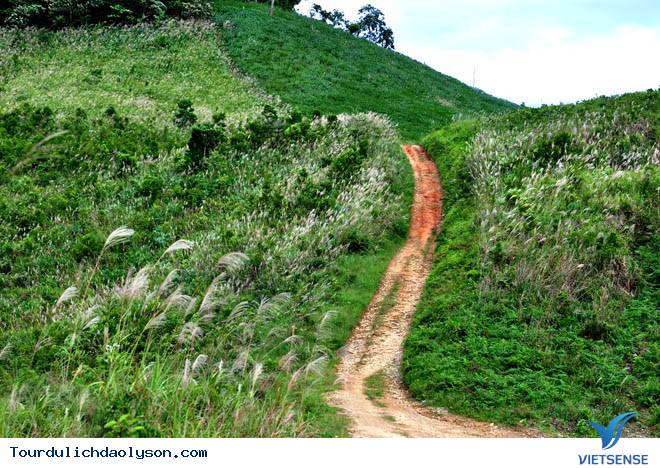 Cà Đam tuyệt tác của đại ngàn - Ảnh 1