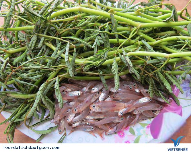 Cá man man đặc sản mùa hè xứ Quảng - Ảnh 1