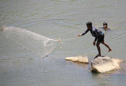 Cá Niên đặc sản Đảo Lý Sơn - Ảnh 4