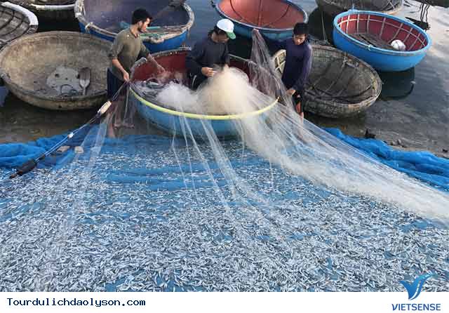 Chèo thúng đi đánh cá cơm quế đảo Lý Sơn - Ảnh 1