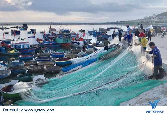 Chèo thúng đi đánh cá cơm quế đảo Lý Sơn - Ảnh 3