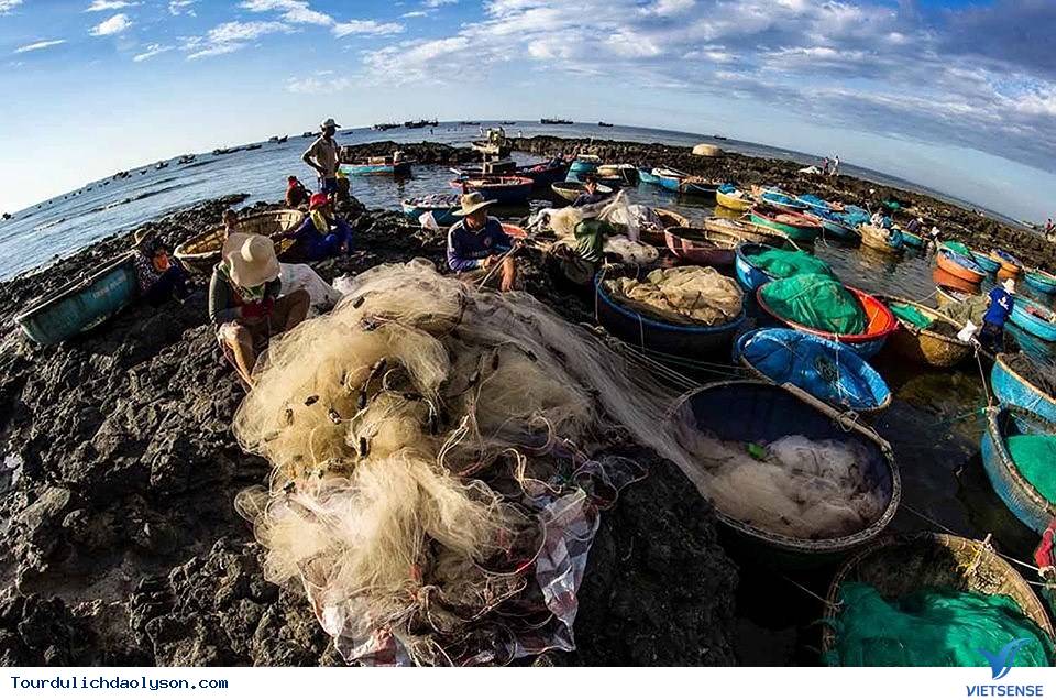Chiêm ngưỡng đảo Lý Sơn từ những cánh dù lượn - Ảnh 6 Chiêm ngưỡng đảo Lý Sơn từ những cánh dù lượn - Ảnh 6