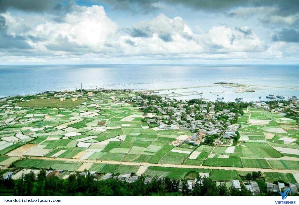 Chiêm Ngưỡng Những Cánh Đồng Tỏi Độc Đáo Ở Lý Sơn - Ảnh 1