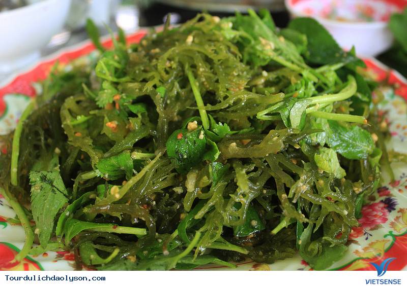 Rong Bìm Bìm Lý Sơn