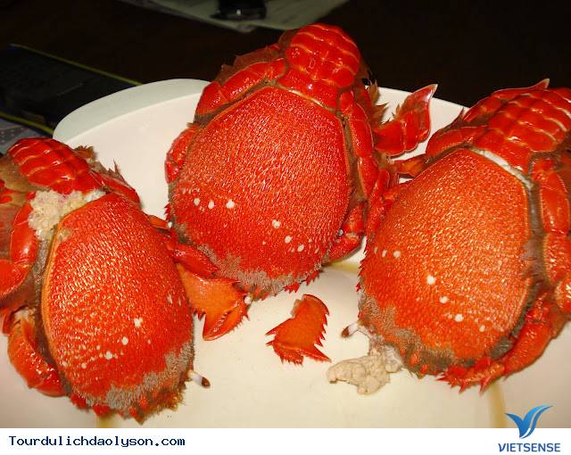 Đảo Lý điểm đến hút khách thăm quan trong dịp tết - Ảnh 3 Đảo Lý điểm đến hút khách thăm quan trong dịp tết - Ảnh 3