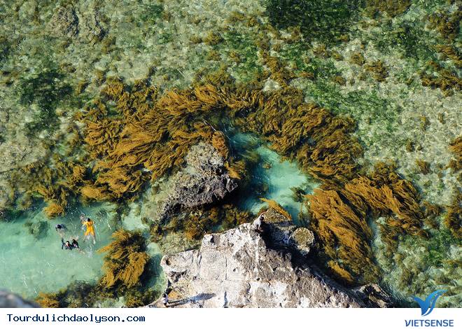 Đảo Lý Sơn cảnh đẹp hút hồn khách thăm quan - Ảnh 1