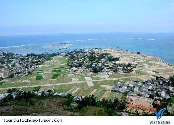 Đảo Lý Sơn khuyến khích trồng cây xanh lưu niệm - Ảnh 4