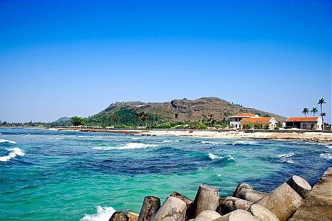 Đảo Lý Sơn lập khu bảo tồn biển gần 8.000 ha - Ảnh 2