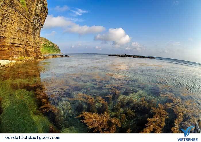 Đảo Lý Sơn những ngày xanh ngắt - Ảnh 4