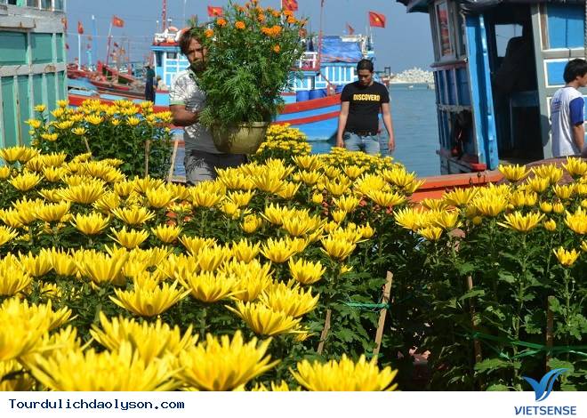 Đảo Lý Sơn- Quảng Ngãi rực rỡ đón xuân - Ảnh 1 Đảo Lý Sơn- Quảng Ngãi rực rỡ đón xuân - Ảnh 1